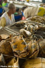 Kinshasa Market